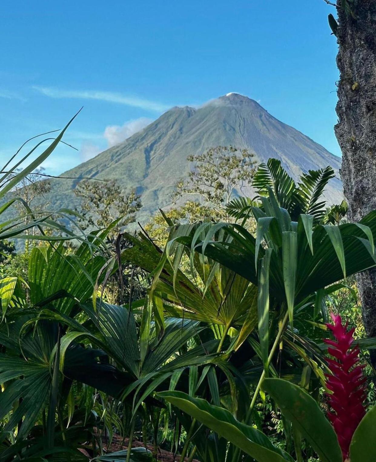 Hotel Kokoro Mineral Hot Springs La Fortuna Exterior photo